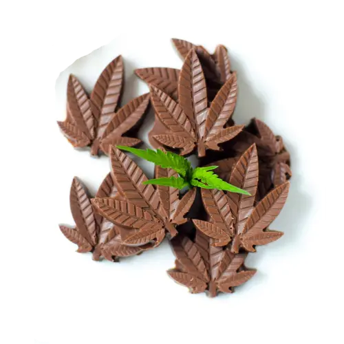 Chocolate Bites (50 mg, Sativa, Plain Chocolate)